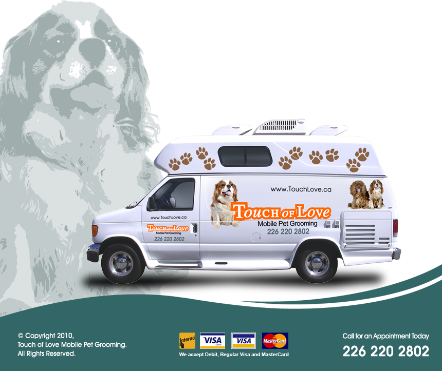 Mobile dog online grooming service